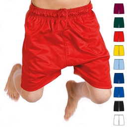 TFSA02 Micromesh Football Shorts